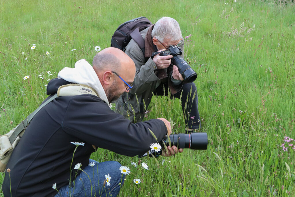 Sortie proxi/macro à Beau Soleil